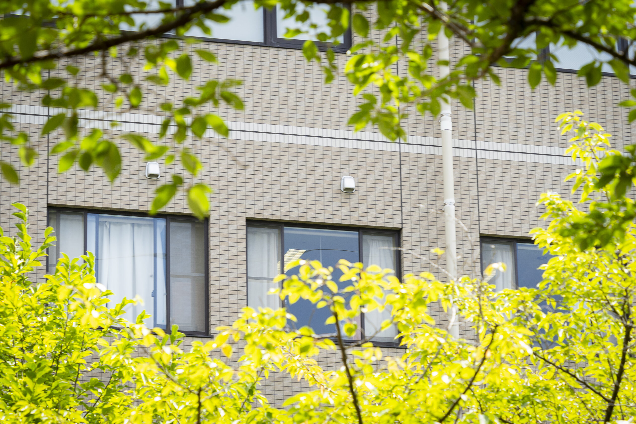 地域活動・啓蒙活動イメージ画像