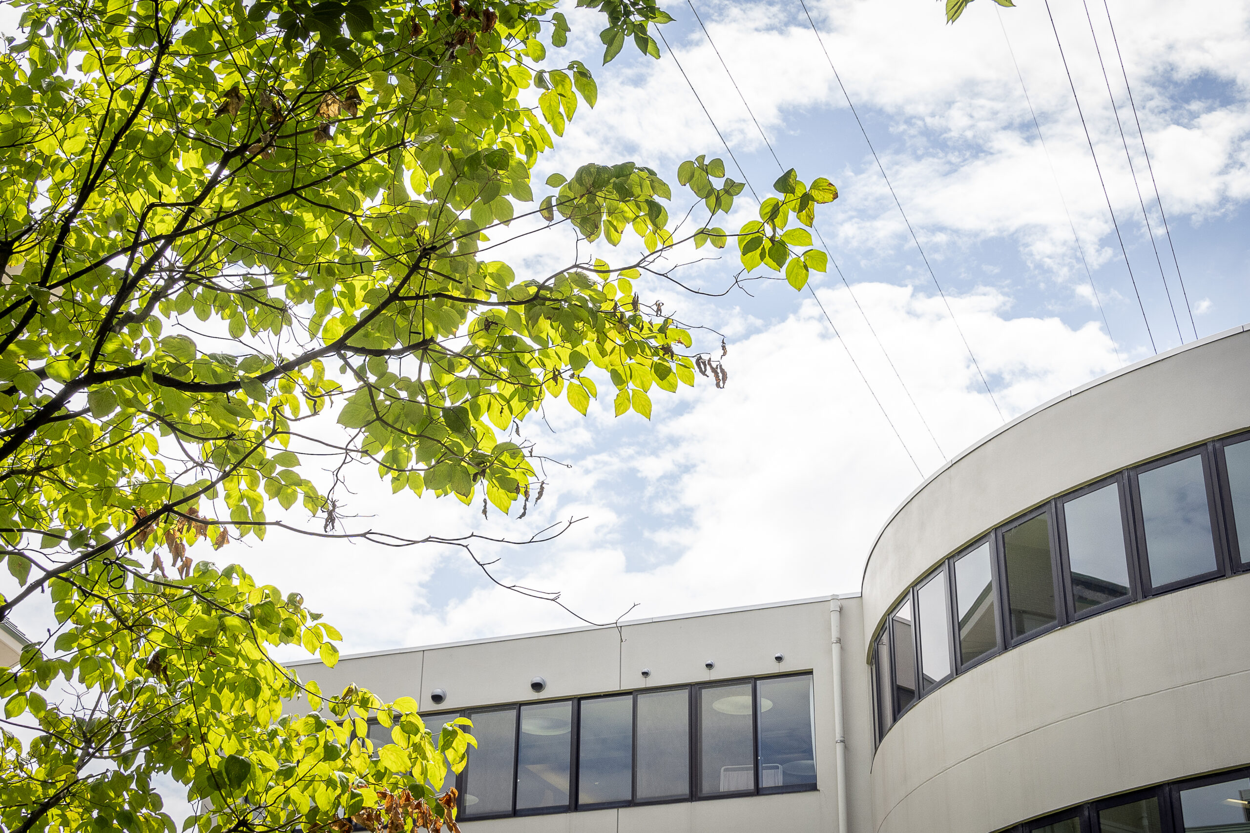 地域の皆さまへイメージ画像