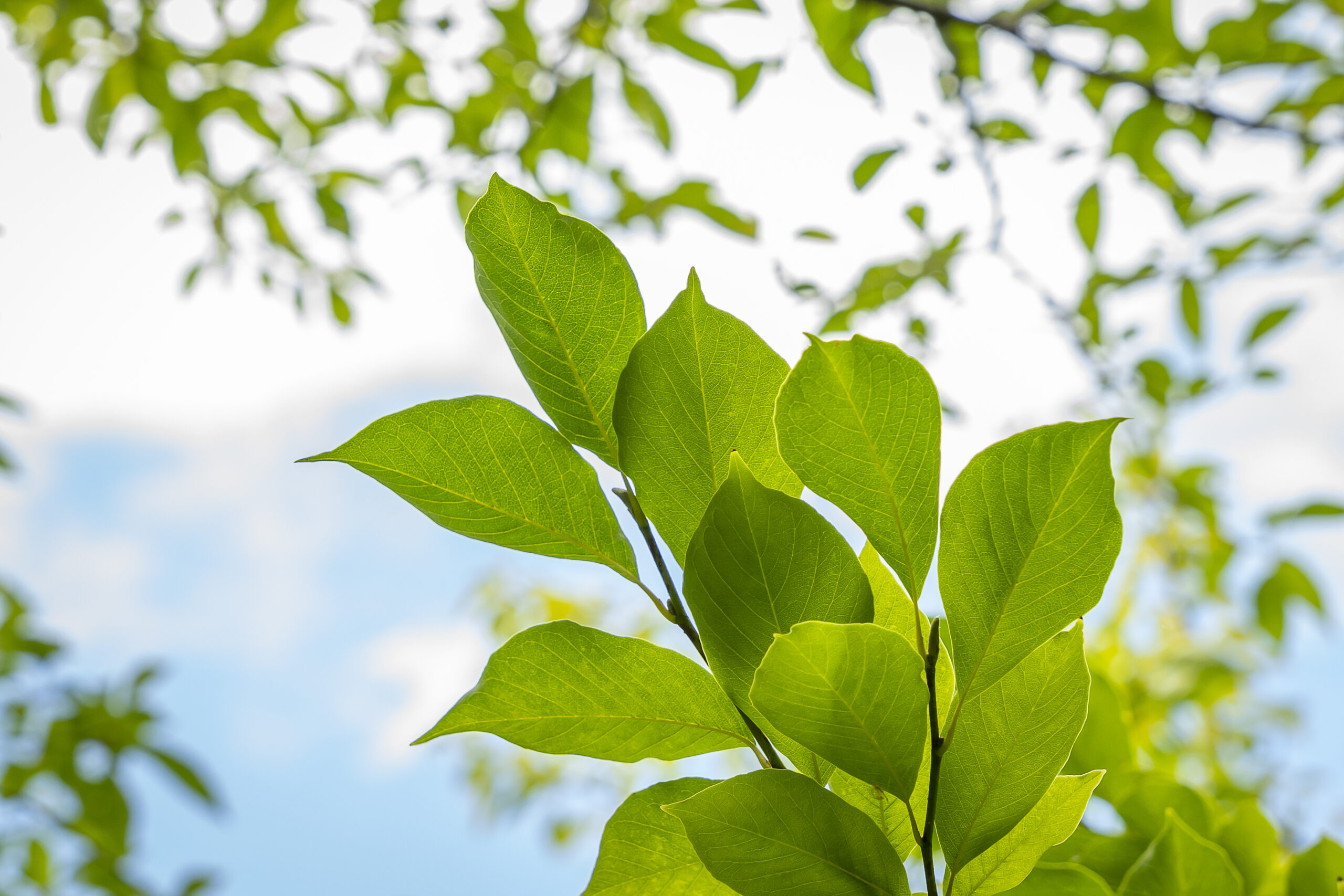 地域・ご家族とともにのイメージ画像
