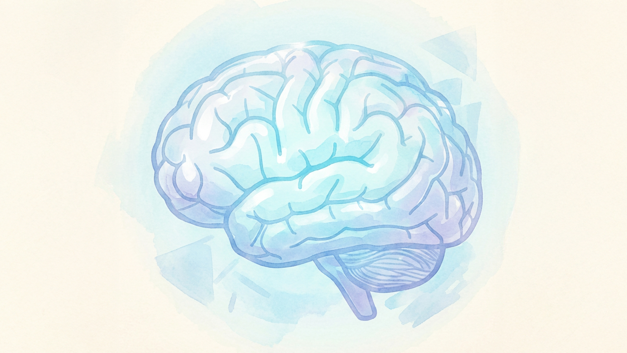 脳機能検査イメージ画像