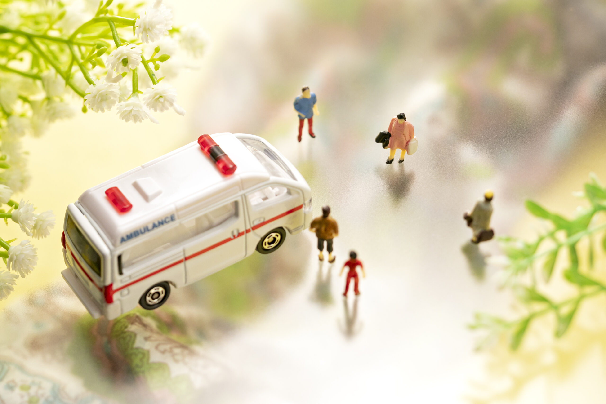 安心の森を創る、多職種の連携のイメージ画像