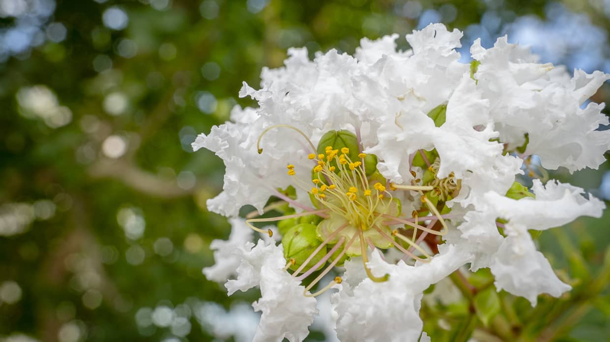 面会」と「洗濯物の交換」についてイメージ画像