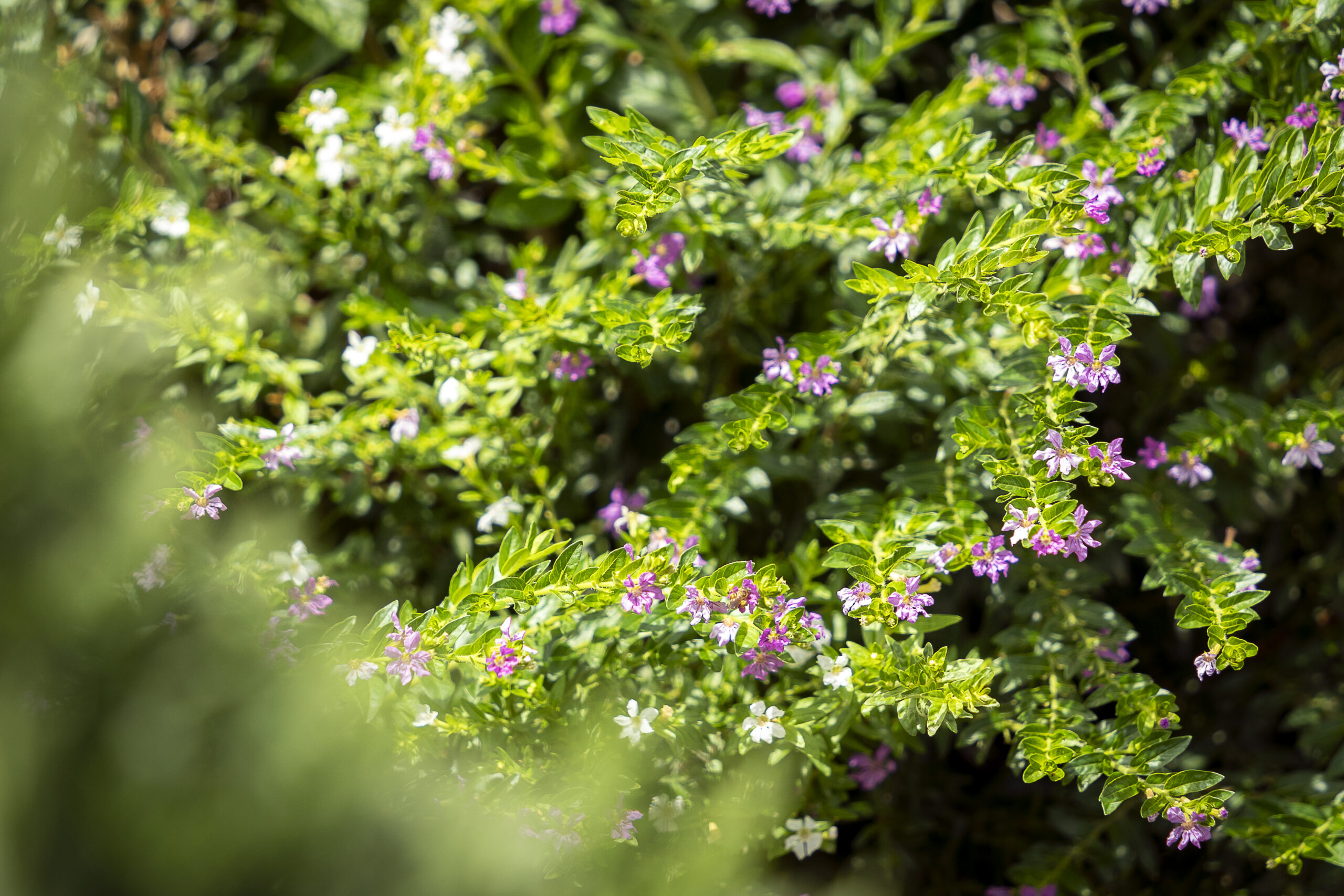 入所・短期入所（ショートステイ）イメージ画像