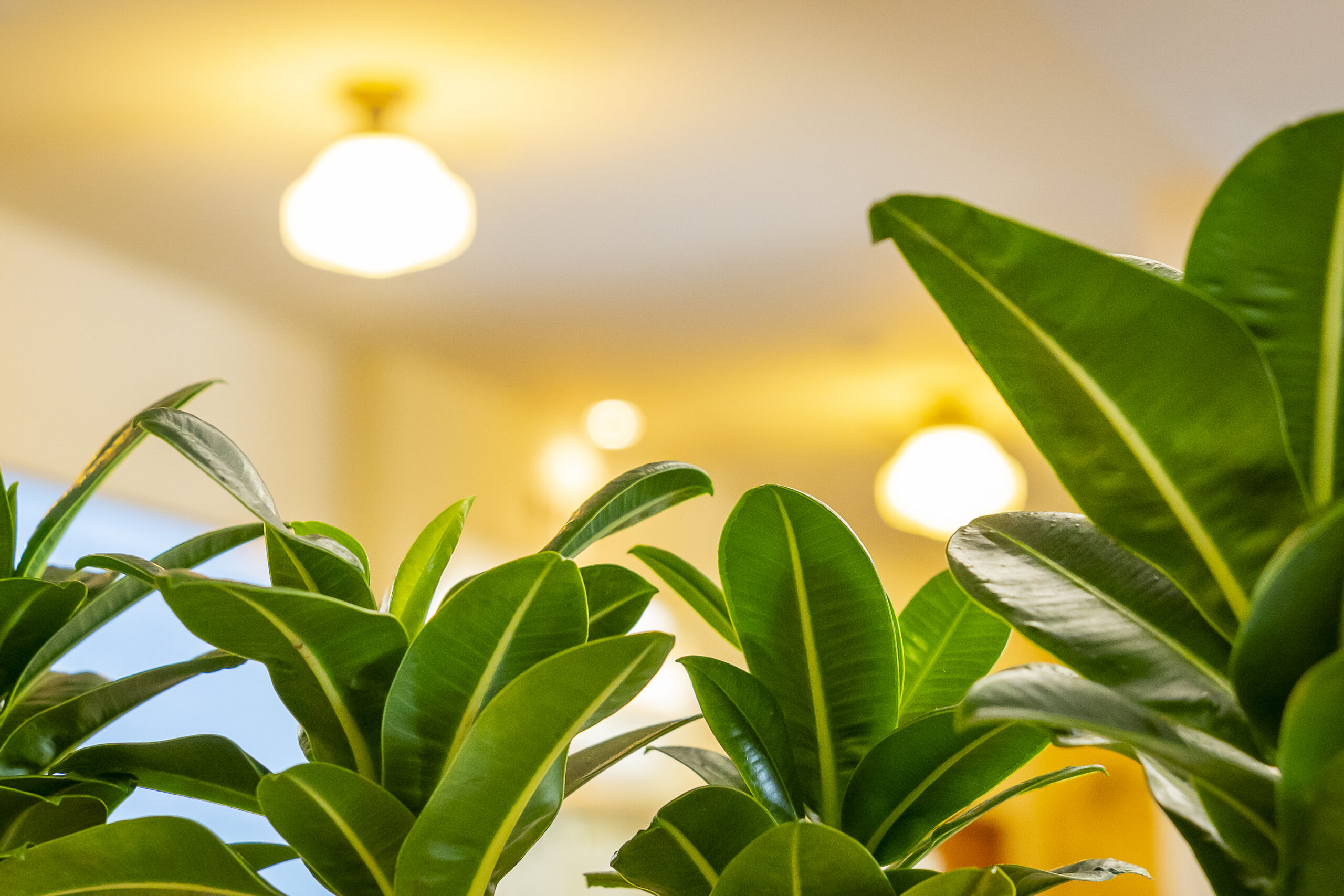 さまざまなリハビリテーションイメージ画像