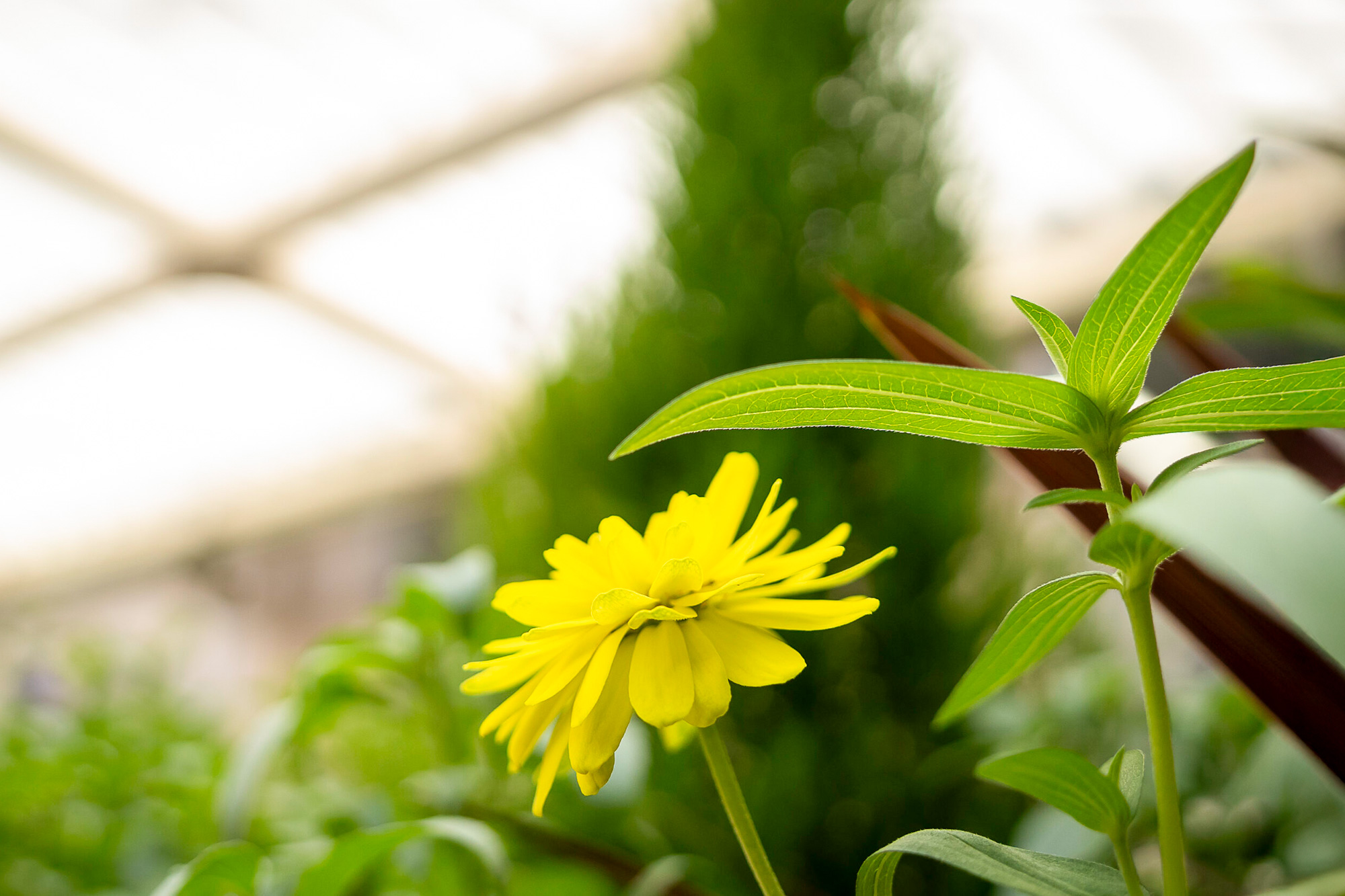 年間行事。イメージ画像PC版。