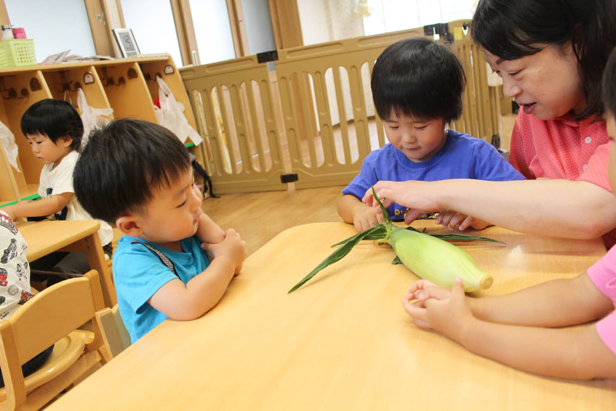 食材の観察と皮むき体験をする子どもの画像。