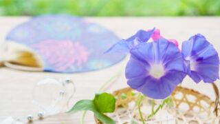 8月の訪問活動について
